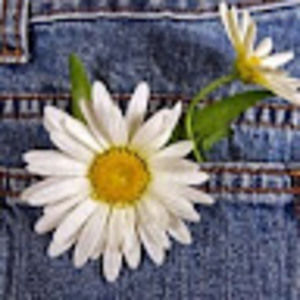 Meet your Posher, Leasa